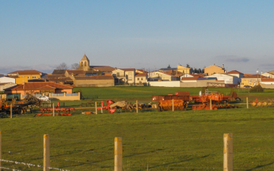 Fibra óptica en Tardáguila